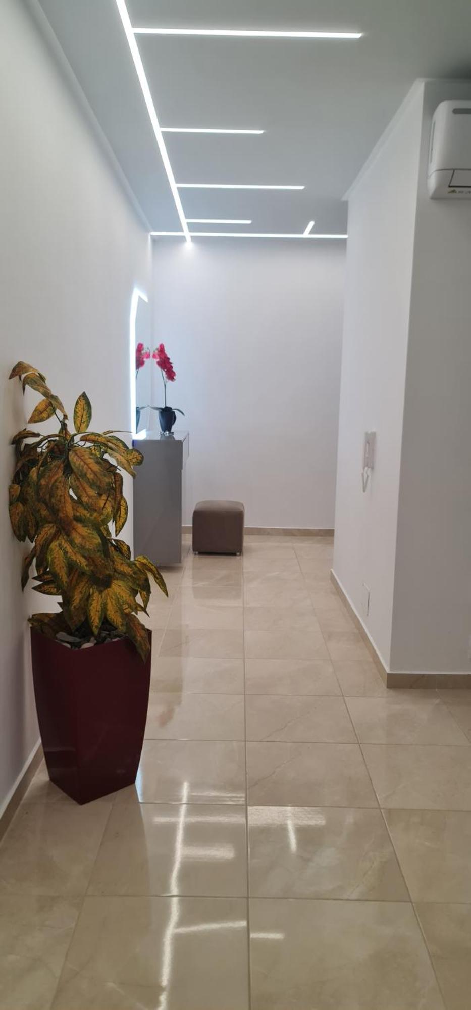 Gpn 1 * Vlore